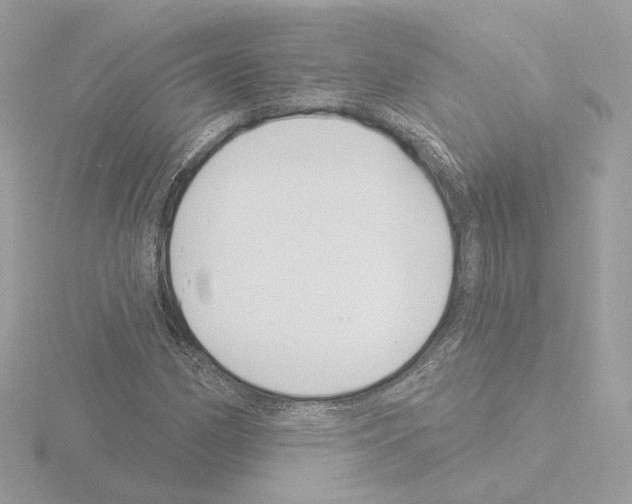 X0000115521162200912181500