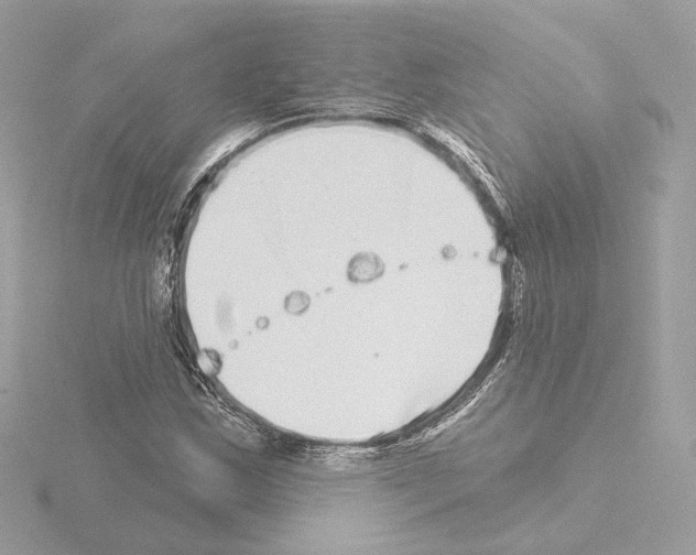 X0000115521163200912181500