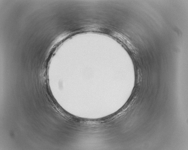 X0000115521164200912181500