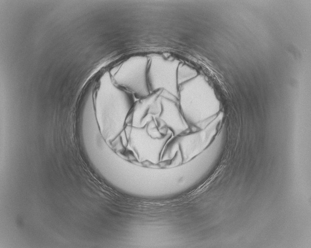 X0000115521165200912181500