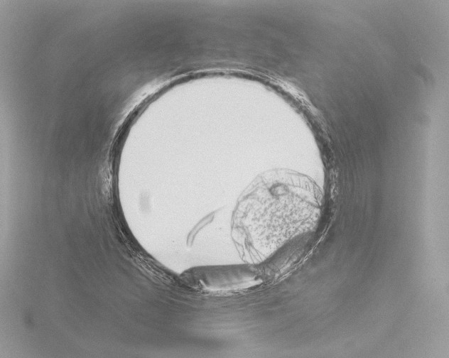 X0000115521167200912181500