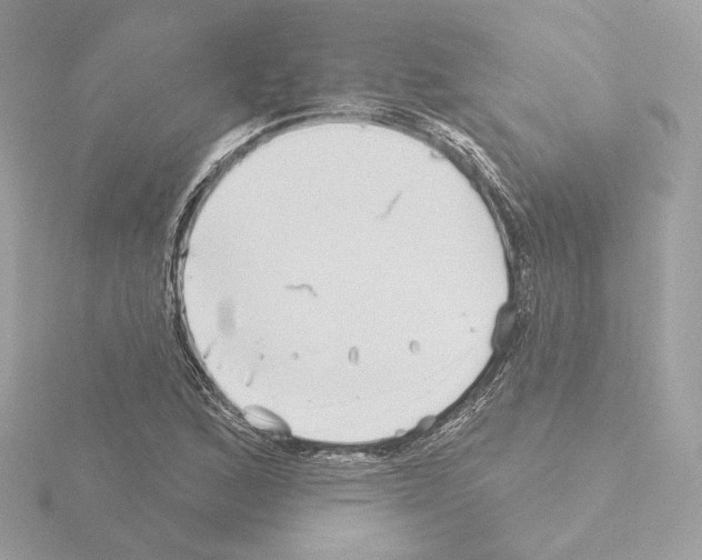 X0000115521168200912181500