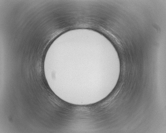 X0000115521170200912181500