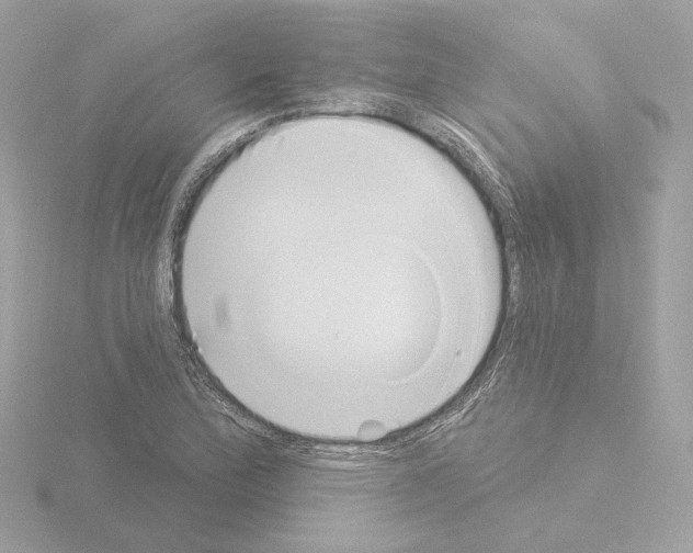 X0000115521172200912181500