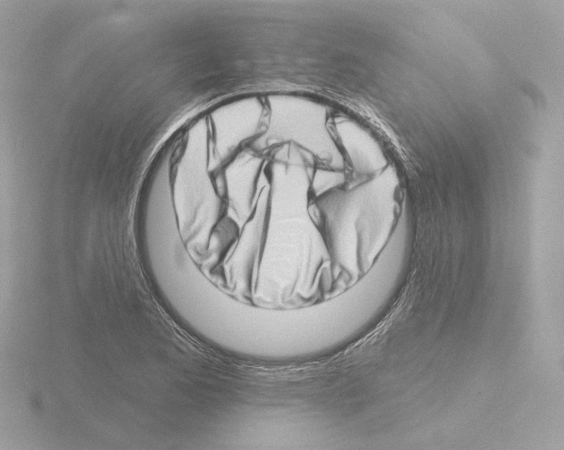 X0000115521173200912181500