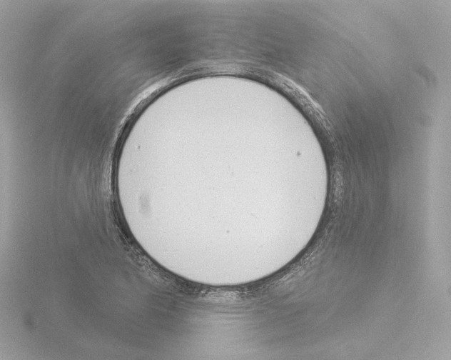 X0000115521174200912181500