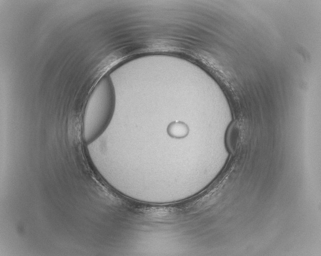 X0000115521177200912181500