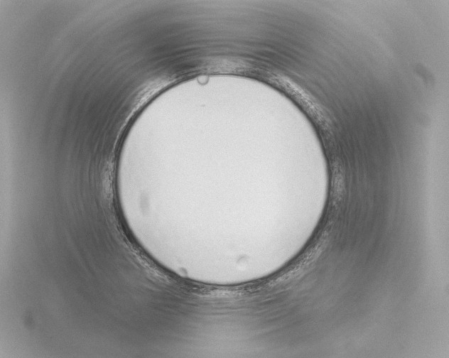 X0000115521178200912181500