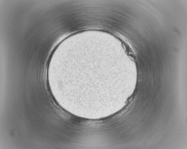 X0000115521179200912181500