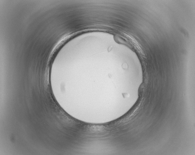 X0000115521180200912181500