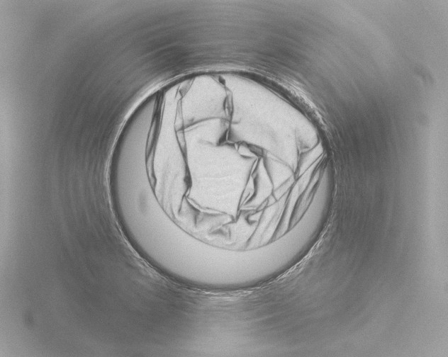 X0000115521181200912181500