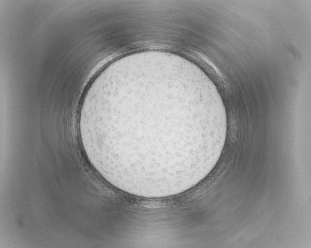 X0000115521182200912181500