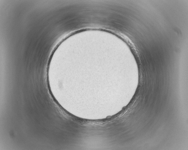 X0000115521183200912181500