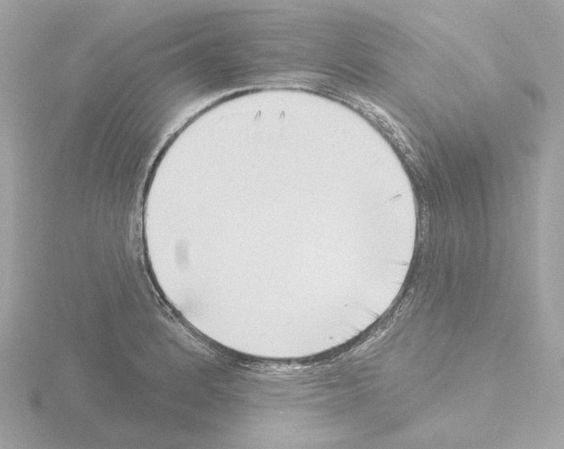 X0000115521184200912181500