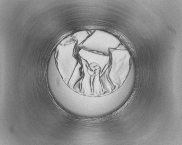 X0000115521185200912181500