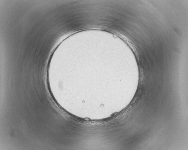 X0000115521187200912181500