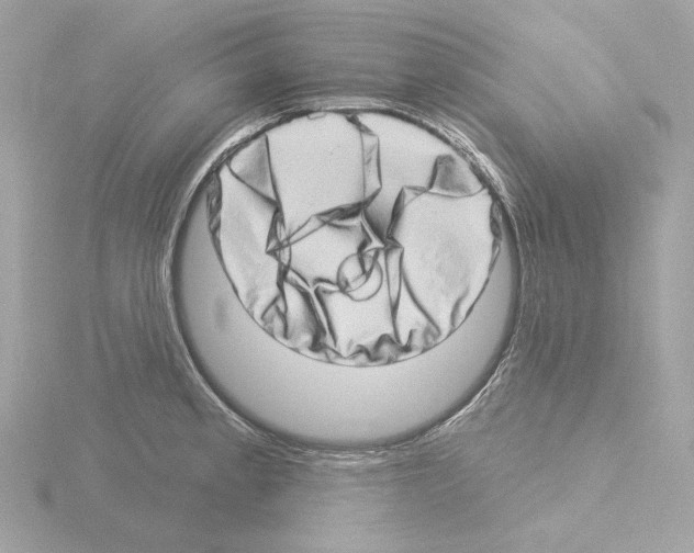 X0000115521189200912181500