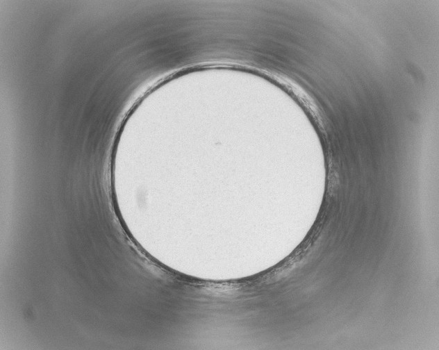 X0000115521191200912181500