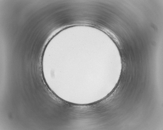 X0000115521192200912181500