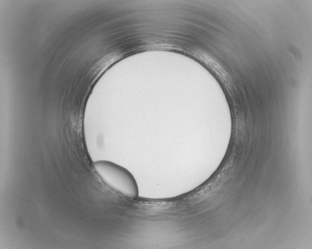 X0000115521193200912181500