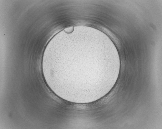 X0000115521194200912181500