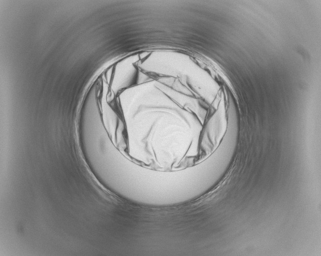 X0000115521195200912181500