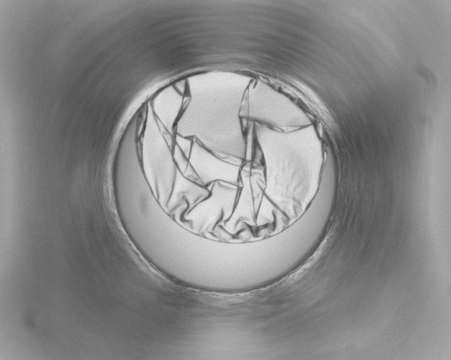 X0000115521196200912181500