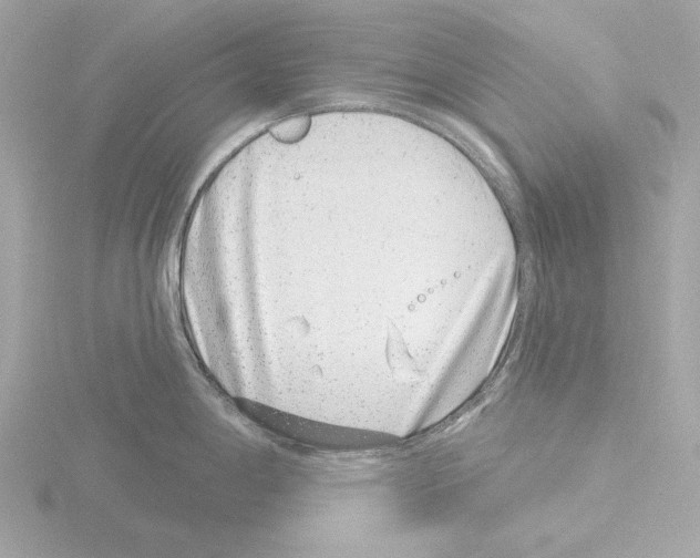 X0000115521198200912181500