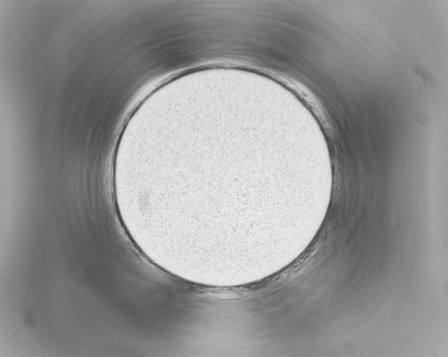 X0000115521199200912181500