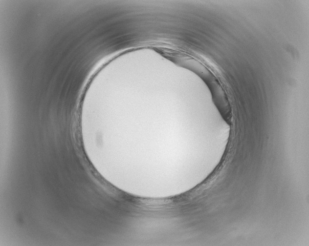 X0000115521200200912181500