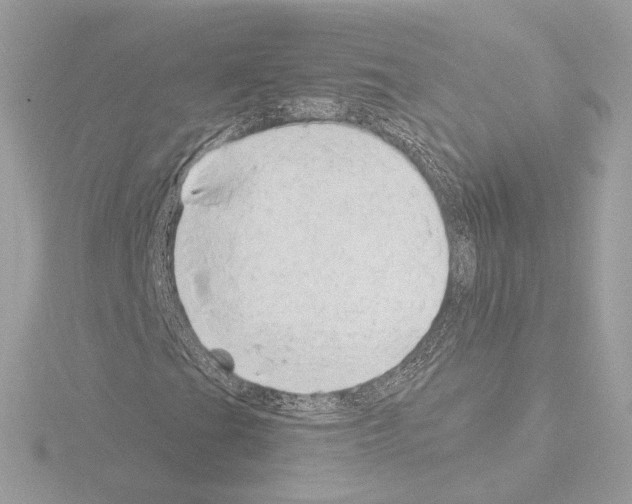 X0000115521201200912181459