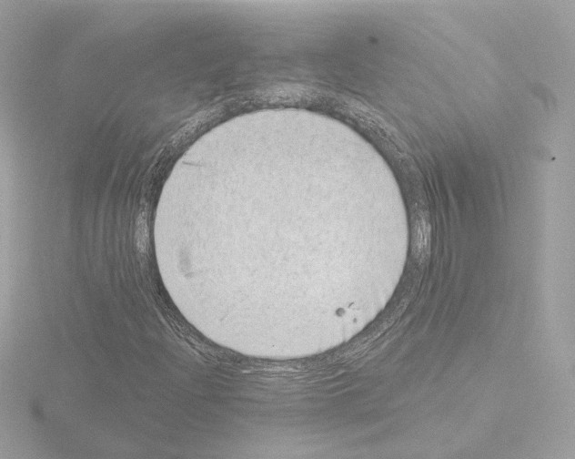 X0000115521204200912181459