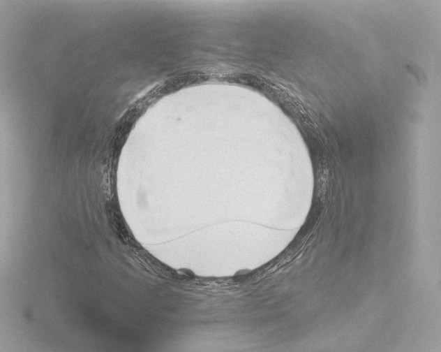 X0000115521205200912181459