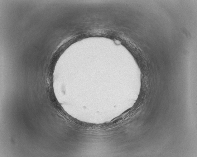 X0000115521206200912181459