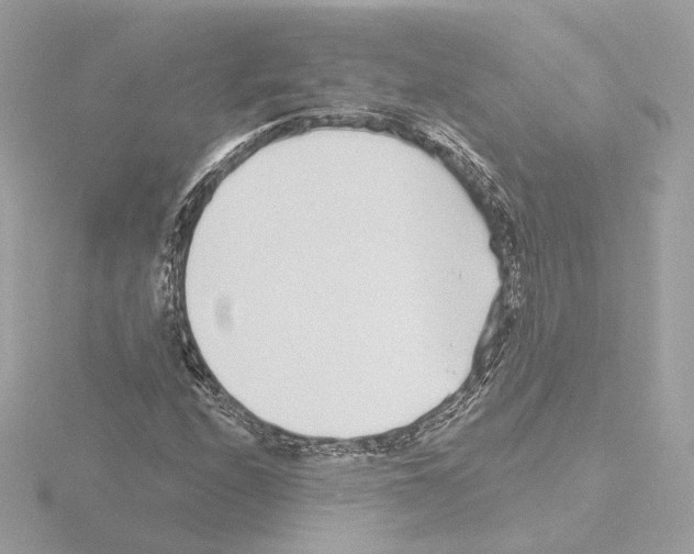 X0000115521208200912181459