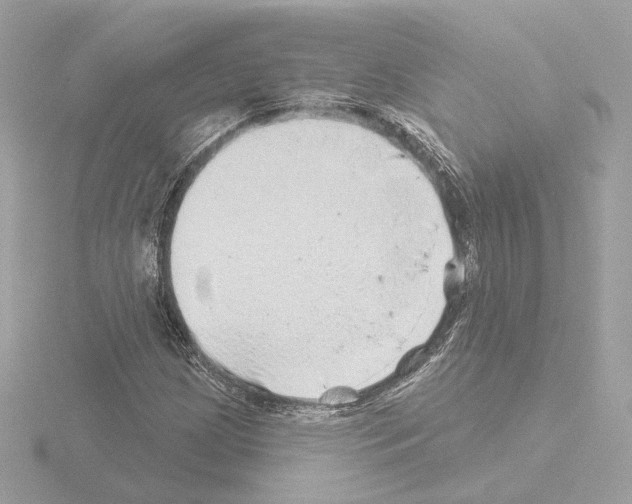 X0000115521209200912181459