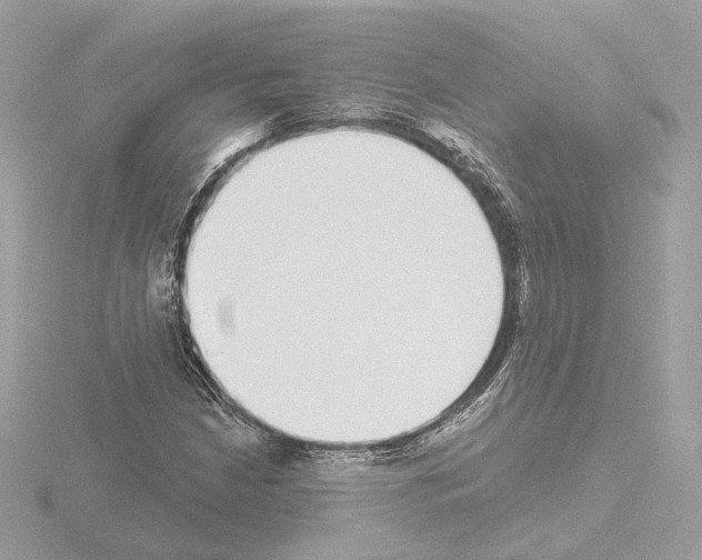 X0000115521210200912181459