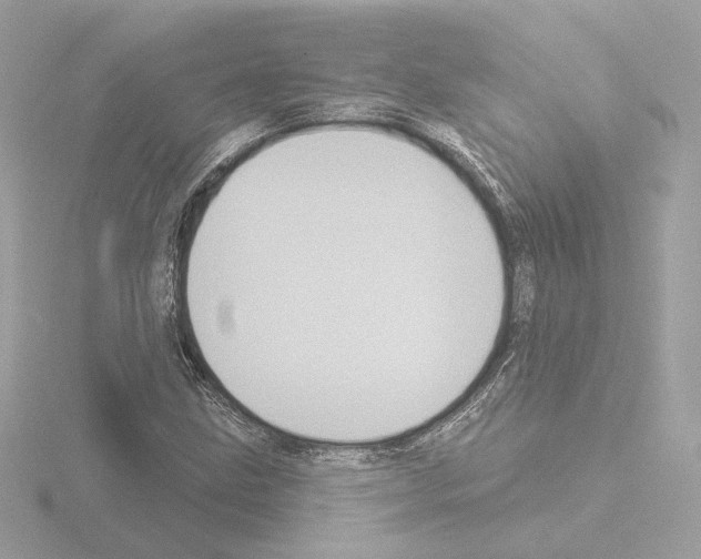 X0000115521211200912181459