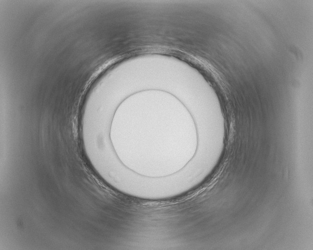 X0000115521212200912181459