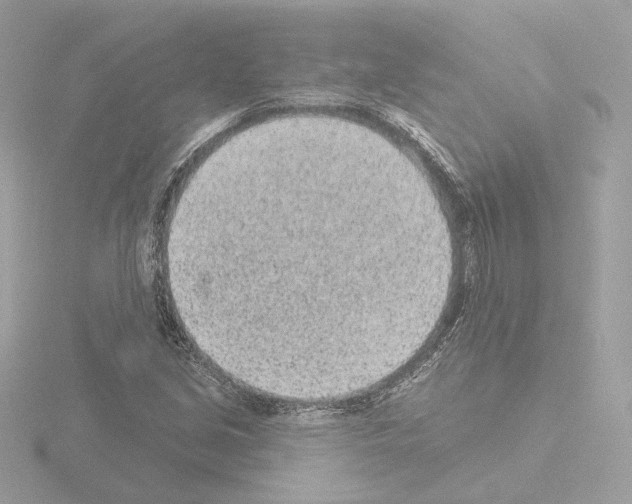 X0000115521213200912181459