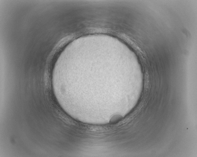 X0000115521215200912181459