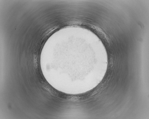 X0000115521217200912181459