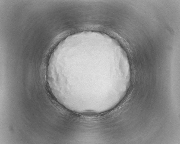 X0000115521219200912181459