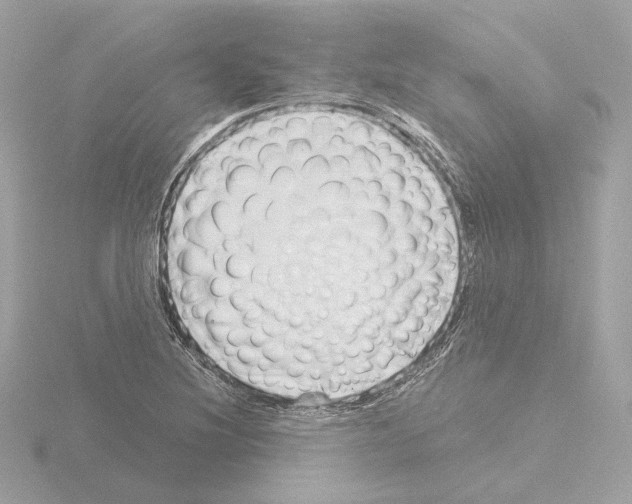 X0000115521220200912181459