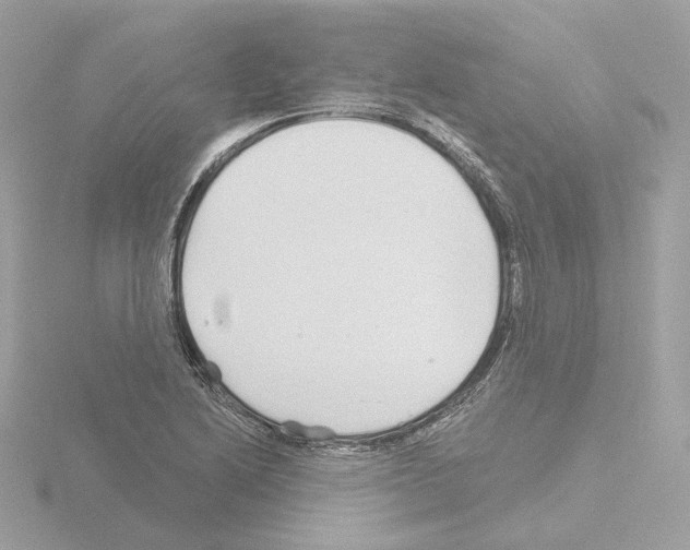 X0000115521222200912181459