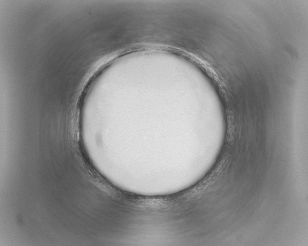 X0000115521223200912181459