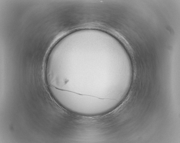 X0000115521224200912181459