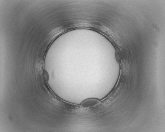 X0000115521225200912181459