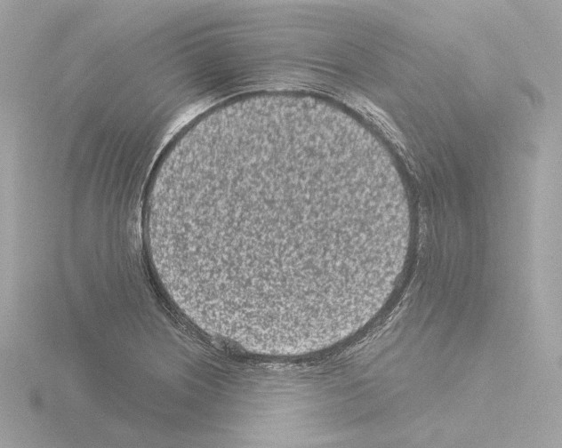 X0000115521226200912181459