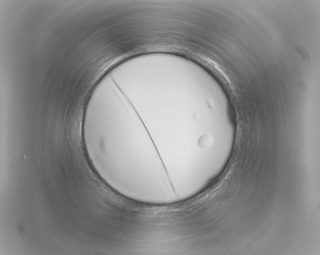 X0000115521228200912181459